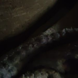 Meet your Posher, Katelyn